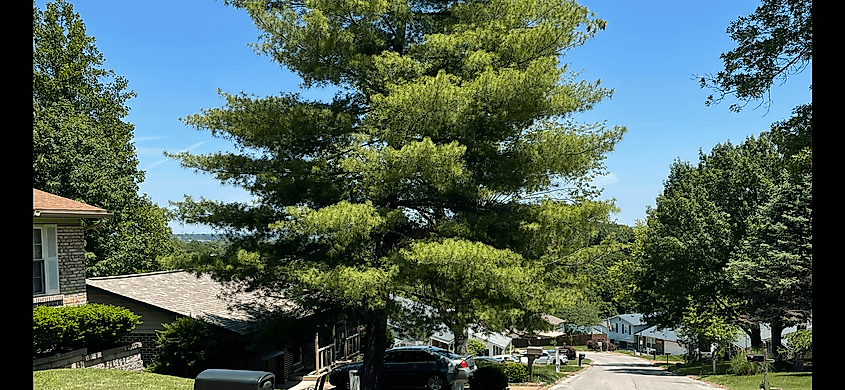A street in the town of Arnold in Missouri.