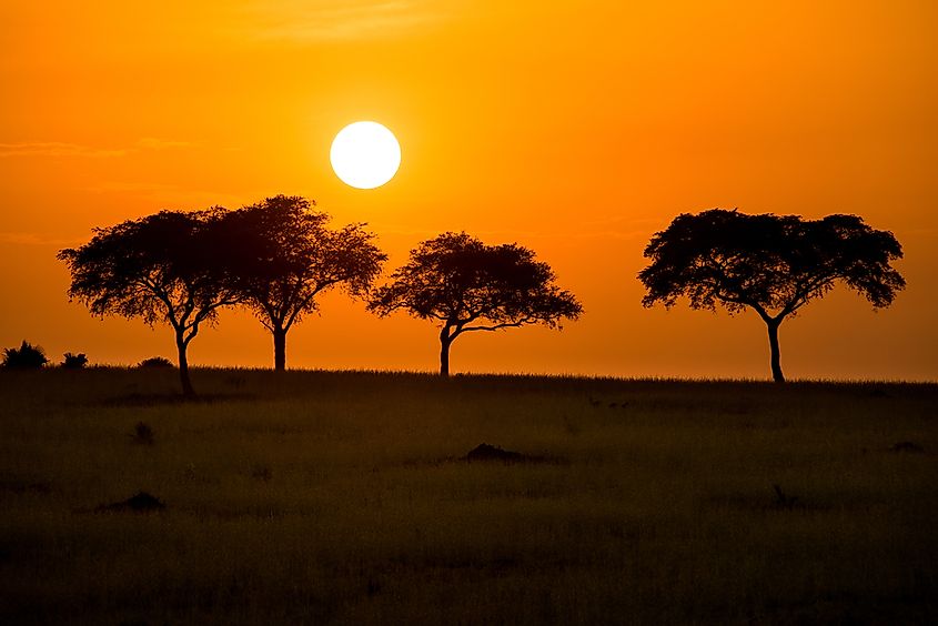 The sunrise in Murchison Falls National Park, one of Uganda's national parks.