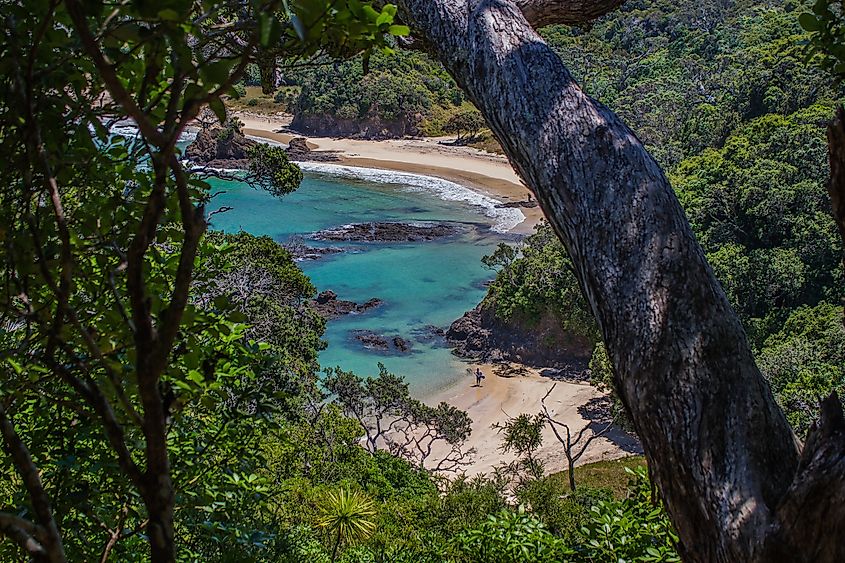 Mermaid Pools in Matapouri, New Zealand.