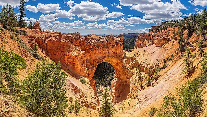 Bryce Canyon National Park in Utah, USA.