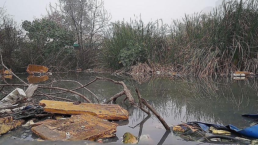 A polluted wetland in Gurgaon, India.