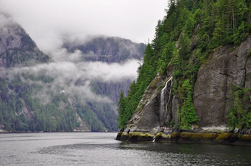 Tongass National Forest