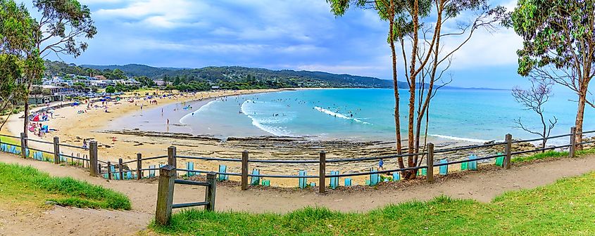 A wide panoramic view of the beach at Lorne, Victoria