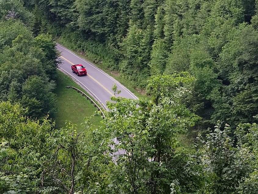 Scenic mountain road in Great Smoky Mountains National Park