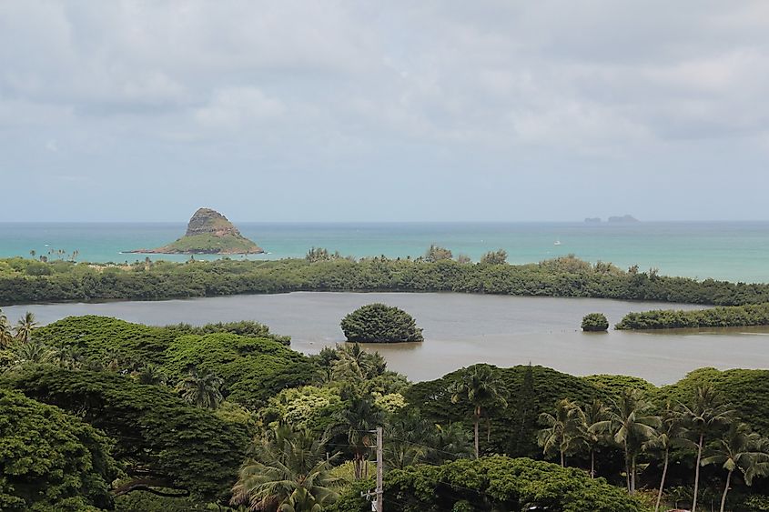 Huilua Fishpond