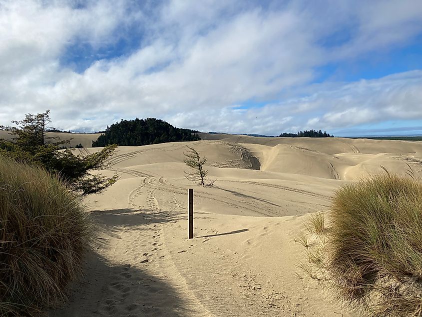 Footprints and ATV tracks head off into a sea of sand dunes. 
