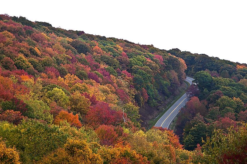 Cherohala Skyway in North Carolina during fall with colorful trees.
