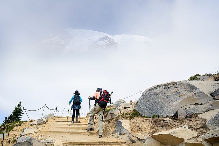 Two people hiking Skyline Loop Trail in Mount Rainier National Park in summer.