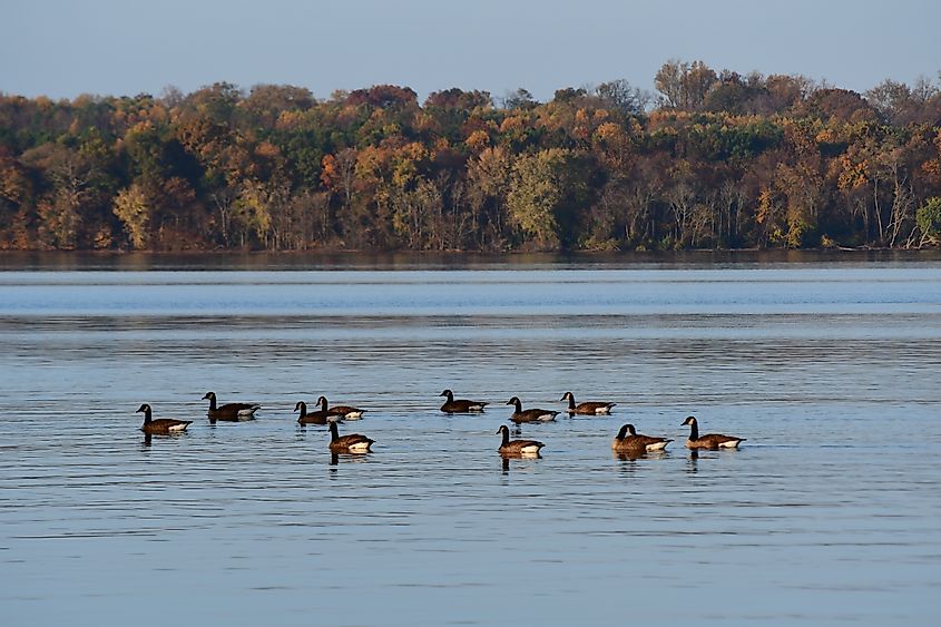 The Sassafras River, Maryland.