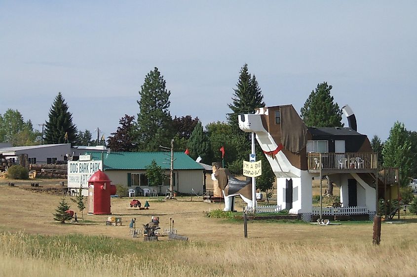 The Dogs of Dog Bark Park, Cottonwood, Idaho.