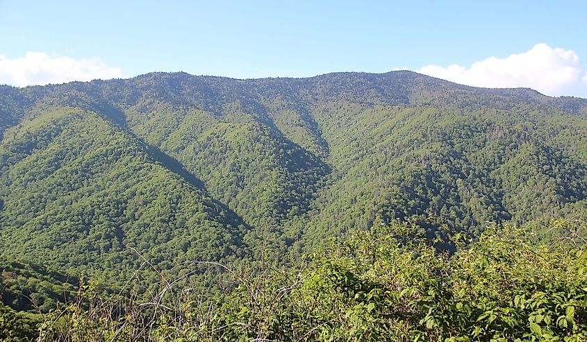 Mount Kephart viewed from US 441