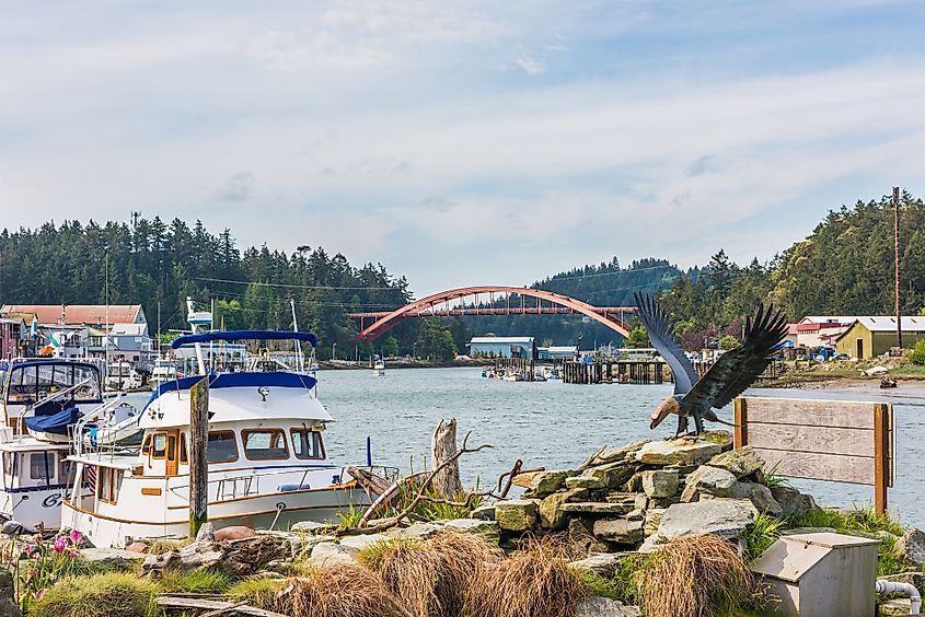 The busy harbor in La Conner, Washington