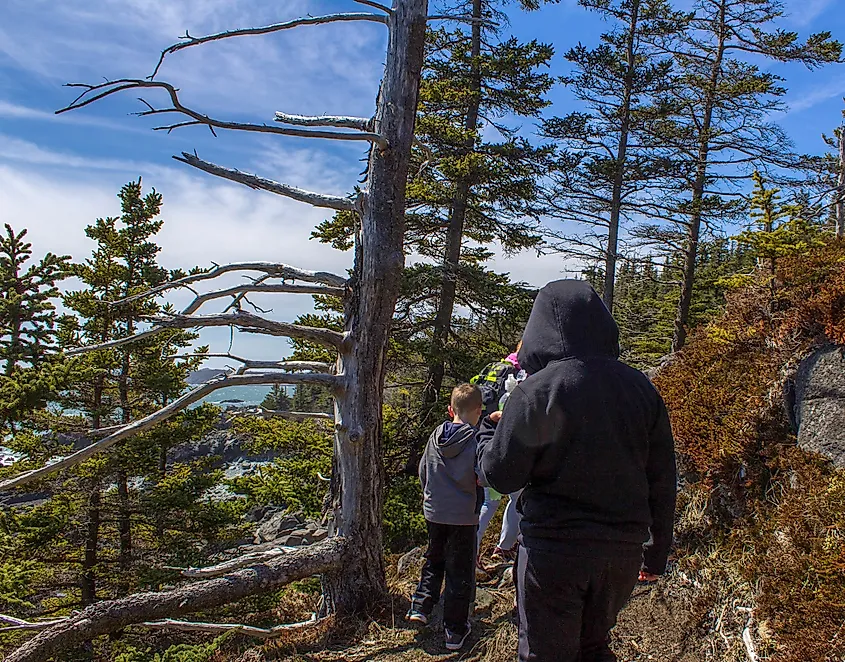 People hiking at Quoddy Head State Park in Maine