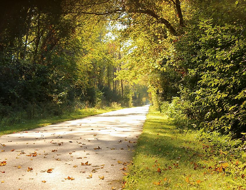 Saginaw Valley Rail Trail.