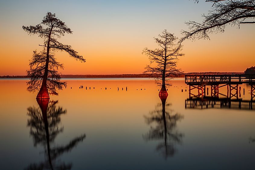 Reelfoot Lake State Park, Tennessee, at sunset.