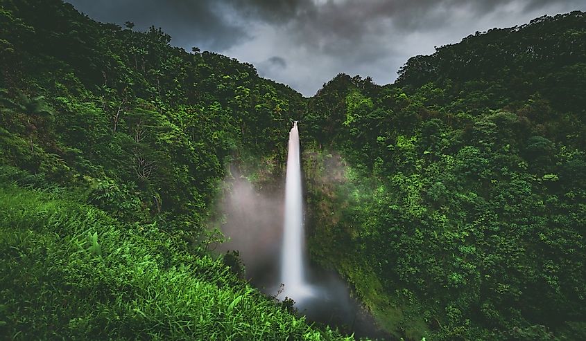 Rain and mist at Akaka Falls, a 300 foot tall waterfall surrounded by rain forest jungle in Akaka Falls State Park near Hilo and Honomu on the Big Island of Hawaiʻi. Hawaii, United States.