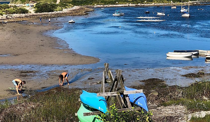 The harbor of Cuttyhunk Island, MA at low tide on a summer day. Two boys dig in the mud for clams. Kayaks rest on a rack in the foreground.