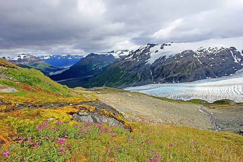 Exit Glacier, Harding Ice Field, Kenai Fjords National Park, Alaska, USA.