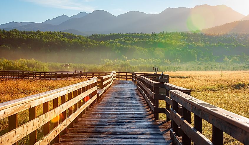 A wooden boardwalk in Potter Marsh Bird Sanctuary, Alaska.