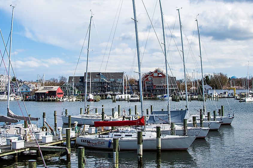 Harbor Area of Annapolis, Maryland