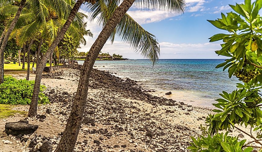 Beautiful view of the beach with coconut trees and ocean, Magic Sands Beach Park, Hawaii