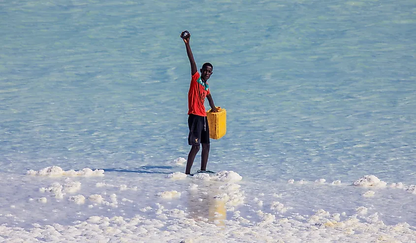 Salt Collector on the Lake Assal