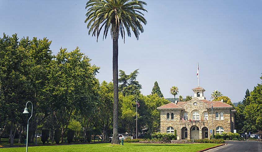 Sonoma, California, palm tree in front of a large home