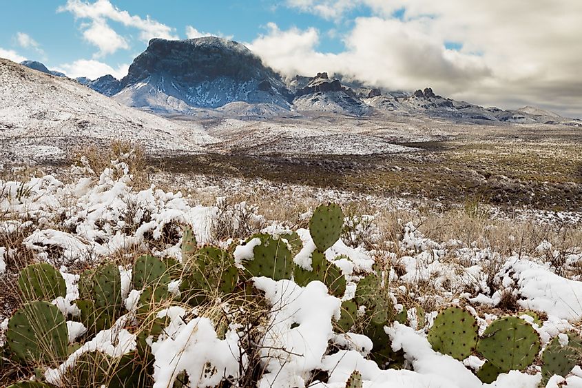 Chihuahuan Desert snow and Chisos Mountains in Big Bend National Park, Texas