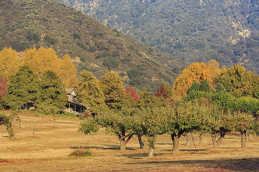 Oak Glen California WorldAtlas Oak Glen California WorldAtlas