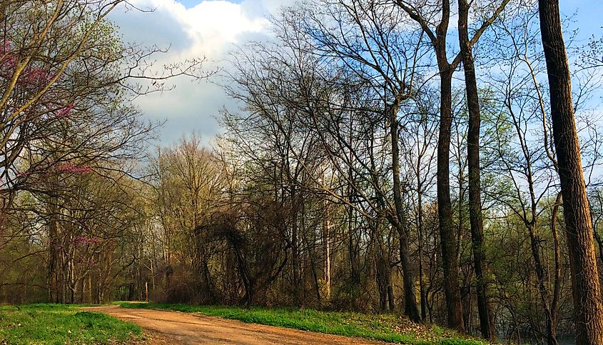 Mississippi Delta.