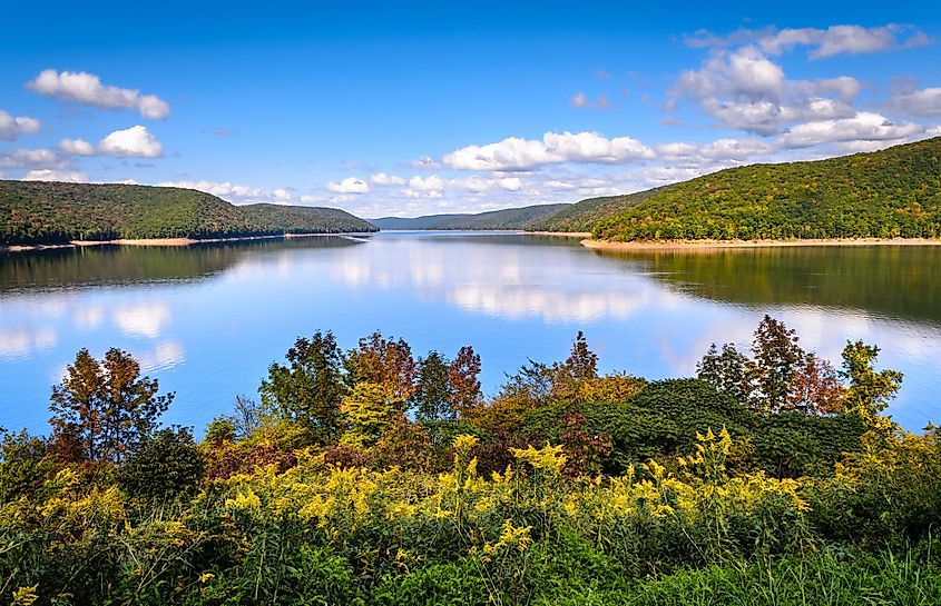 Allegheny National Forest in northern Pennsylvania.