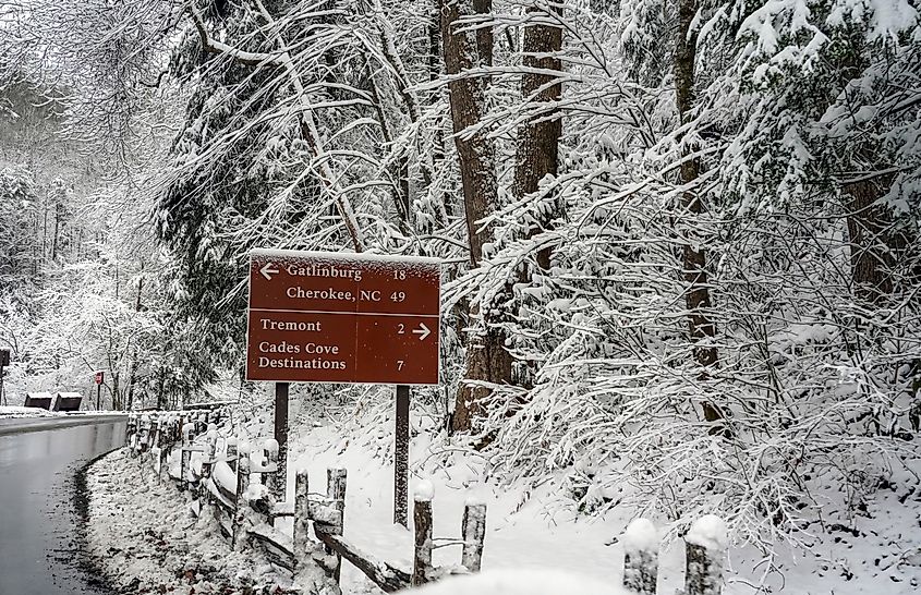 A snow covered Christmas Day in Townsend.