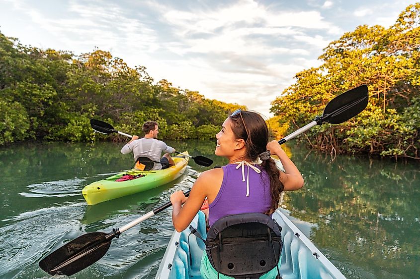 Kayaking through mangroves in Everglades National Park.