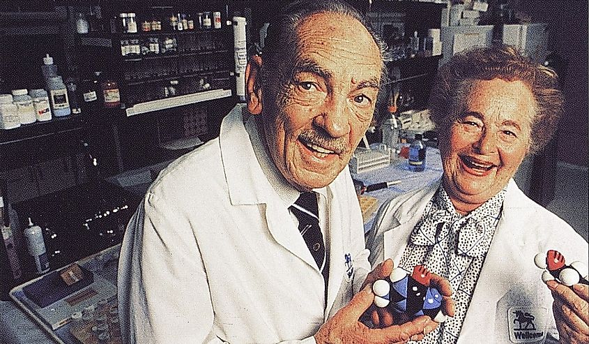 Nobel Prize winners, Dr Hitchings and Dr Elion smiling and holding plastic molecule diagrams