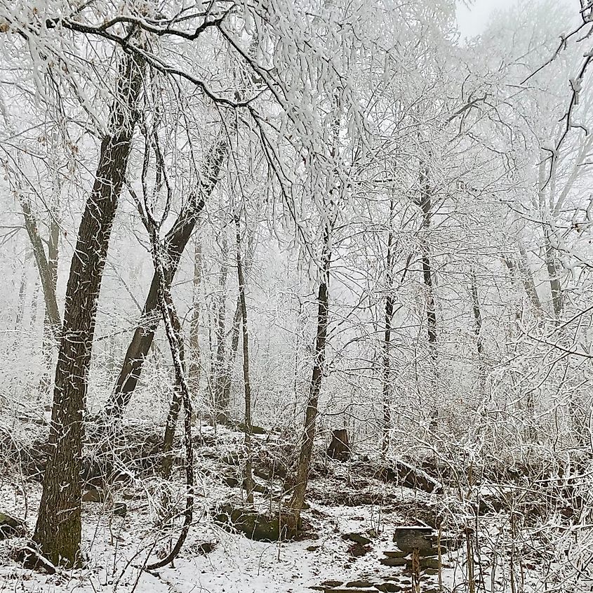 Snowy trail to Round Top Mountain in Jasper, Arkansas