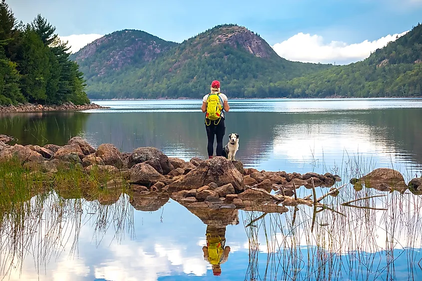 Hiker and dog at Jordan Pond and The Bubbles, Acadia National Park, Maine.