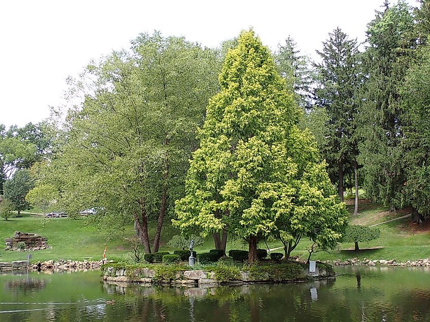 Silver Park, Alliance, Ohio