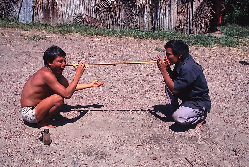 anomami shaman inhales yakoana powder, extracted from the bark of the virola tree, to enter a dream state. Editorial credit: Donnebryant / Shutterstock.com