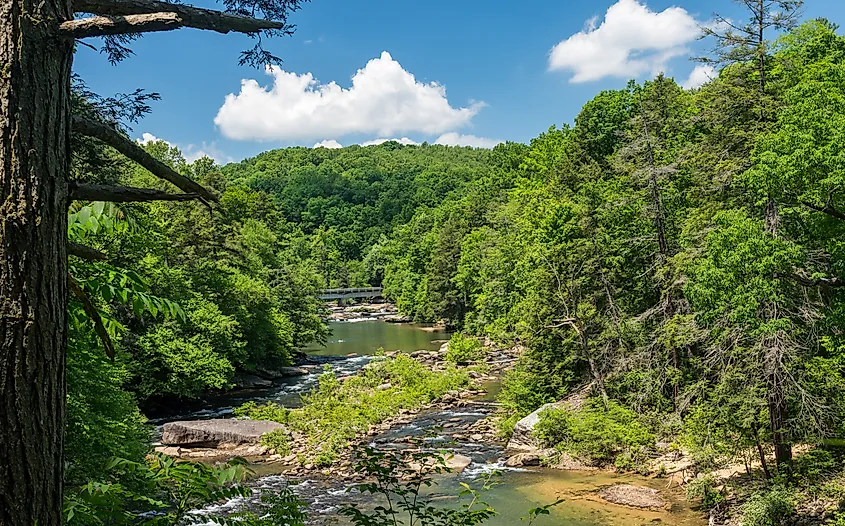River flows through the Audra State Park near Buckhannon in West Virginia