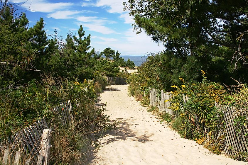 Cape Henlopen State Park ,Delaware is the the eastern terminus of the trail.