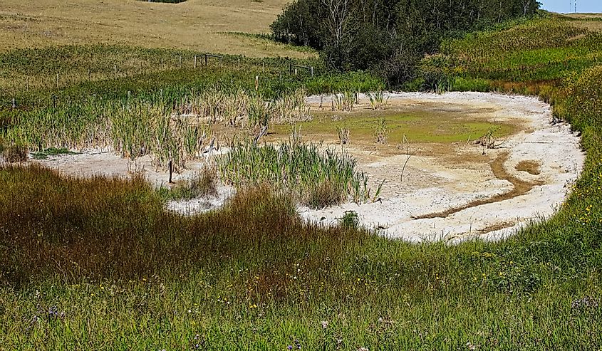 A dried up pond at the end of a long summer.