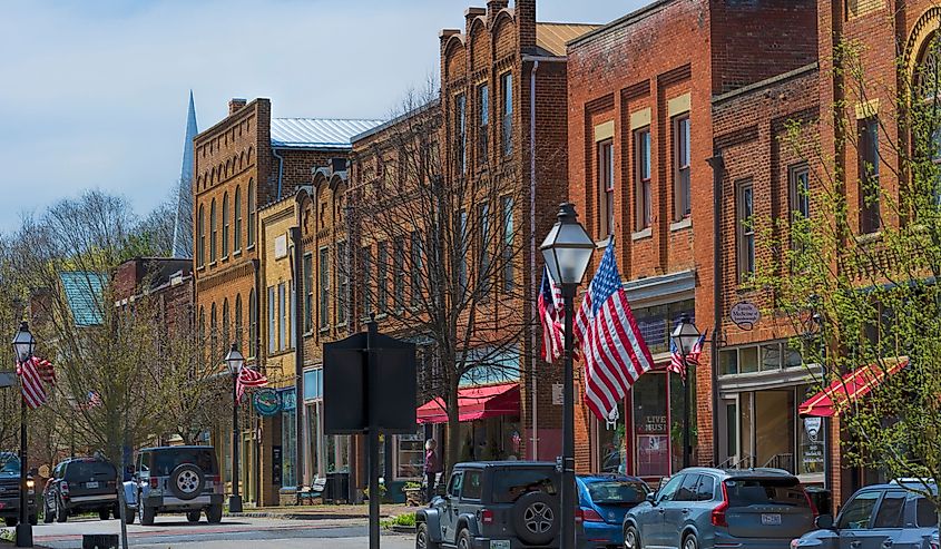 A lone woman and her dog can be seen looking into a closed business, in an otherwise bustling tourist town during the coronavirus, Jonesborough, Tennessee