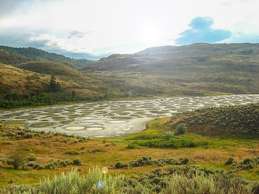 Spotted Lake