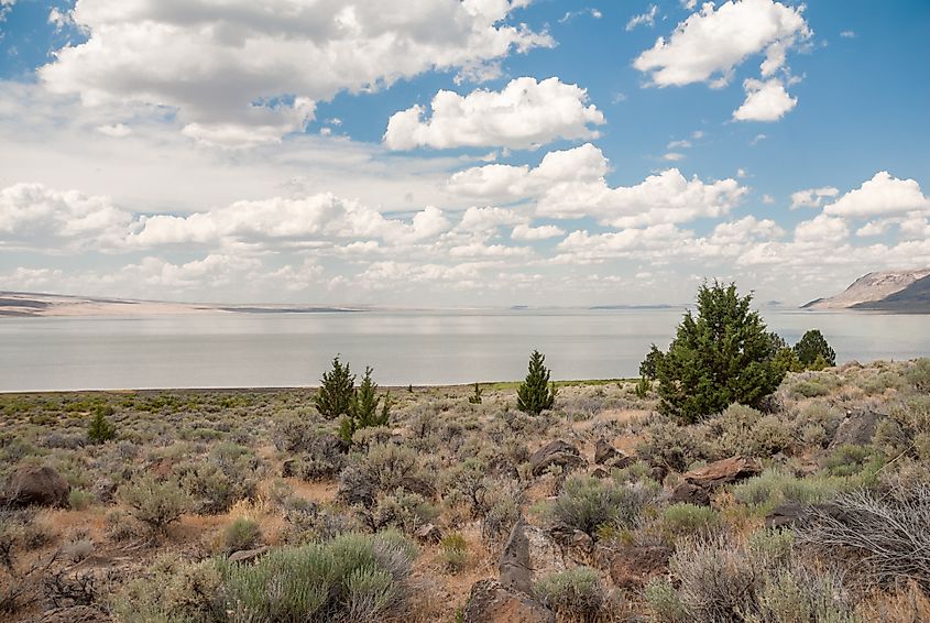 Oregon's scenic disappearing Abert Lake.