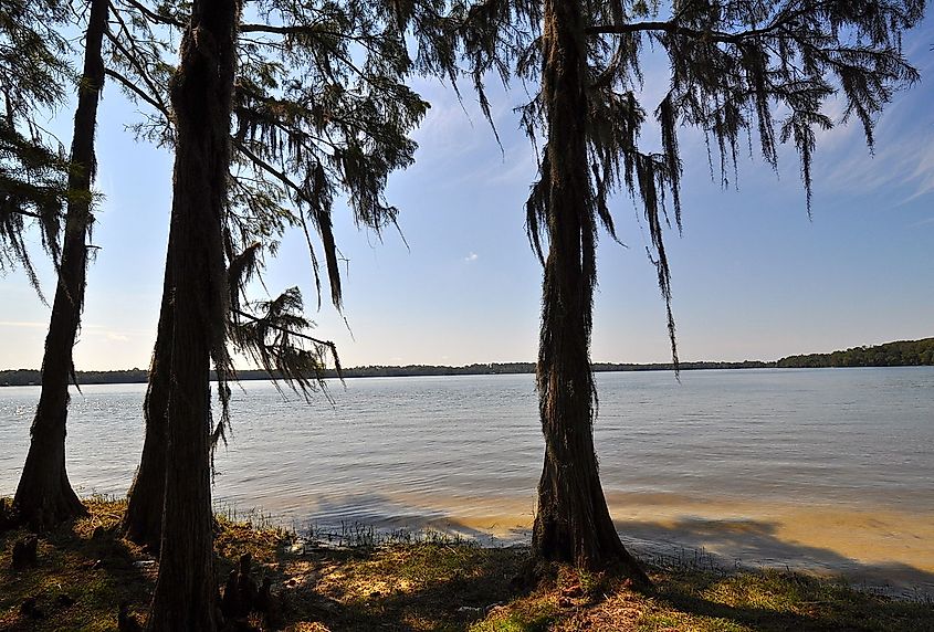 Looking out onto Lake Jackson from the Florala State Park, Alabama.