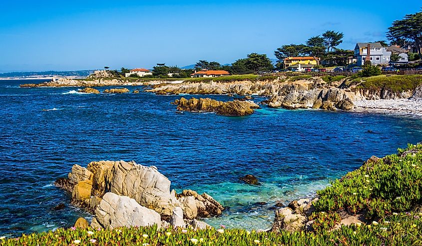 View of rocky coastline in Pacific Grove, California.