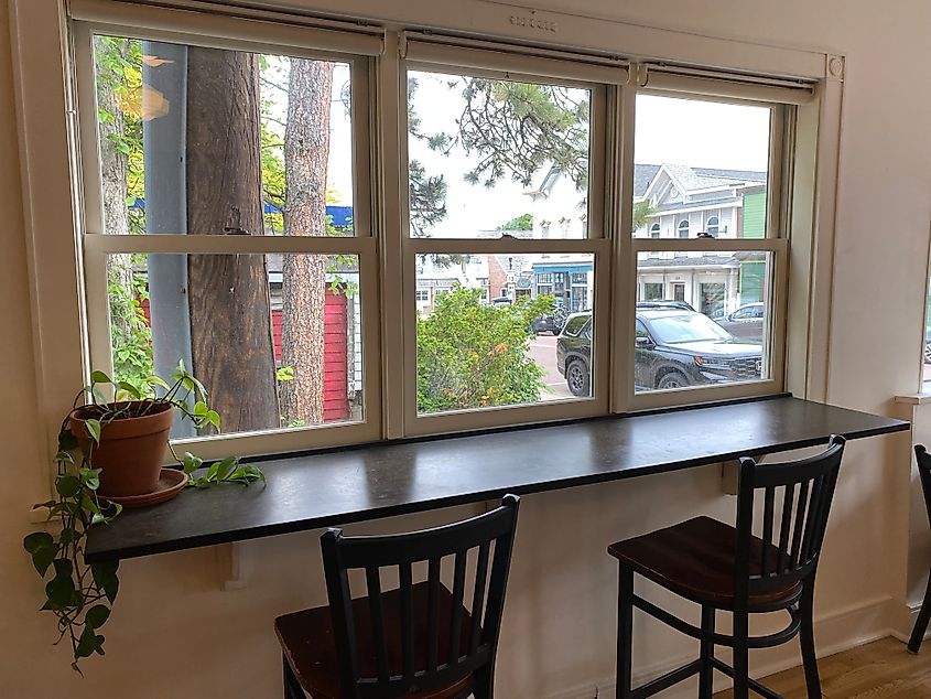 The quiet window seat at a small town coffee shop. A house plant accents the bar top.