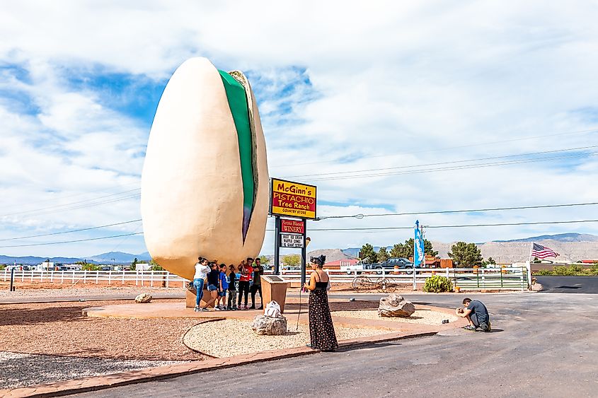 New Mexico pistachio tree farm with the world's largest statue of nut and people posing by sign, via Kristi Blokhin / Shutterstock.com