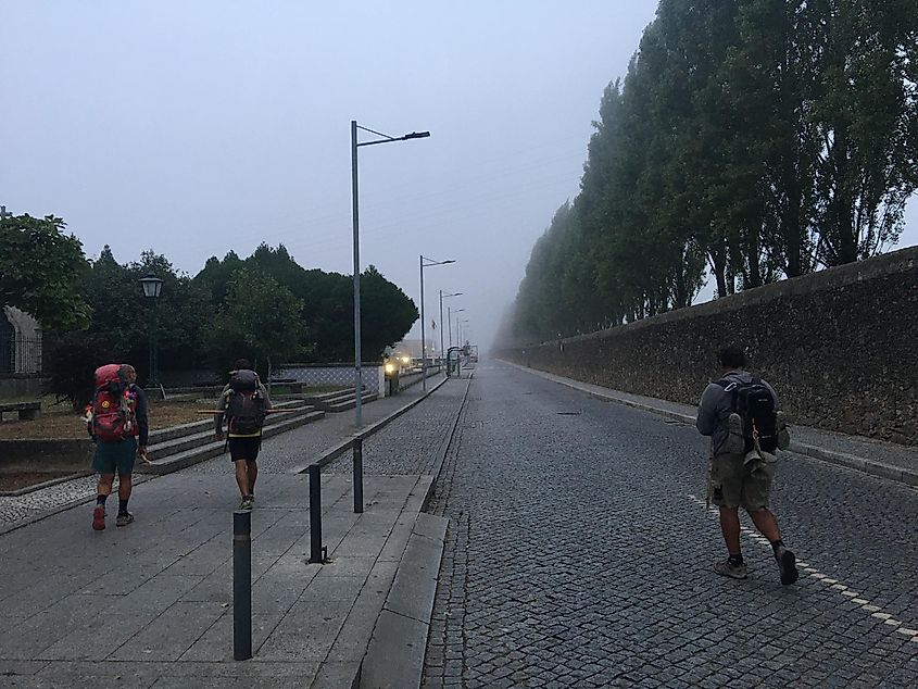 Three hikers heading up the road on a foggy morning. 