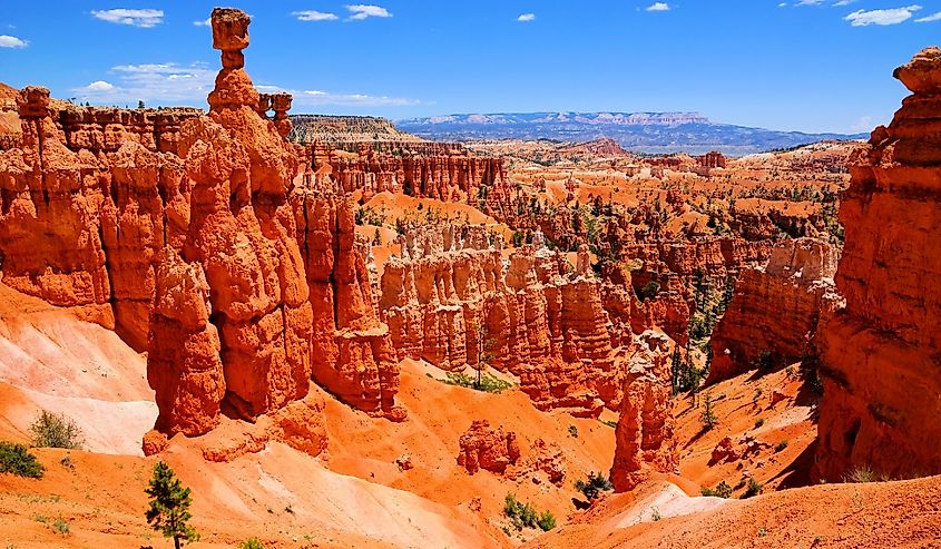 Bryce Canyon National Park hoodoos with the famous Thor's Hammer, Utah